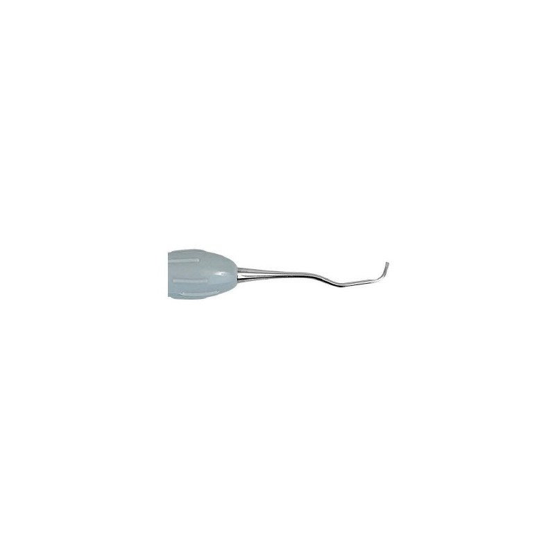 Easy-Color Curette Gracey rigida