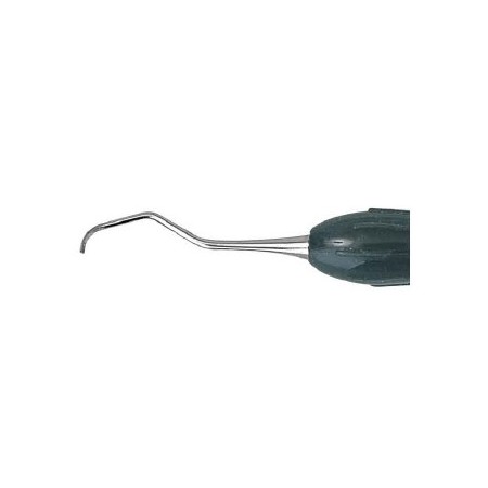 Easy-Color Curette Gracey rigida