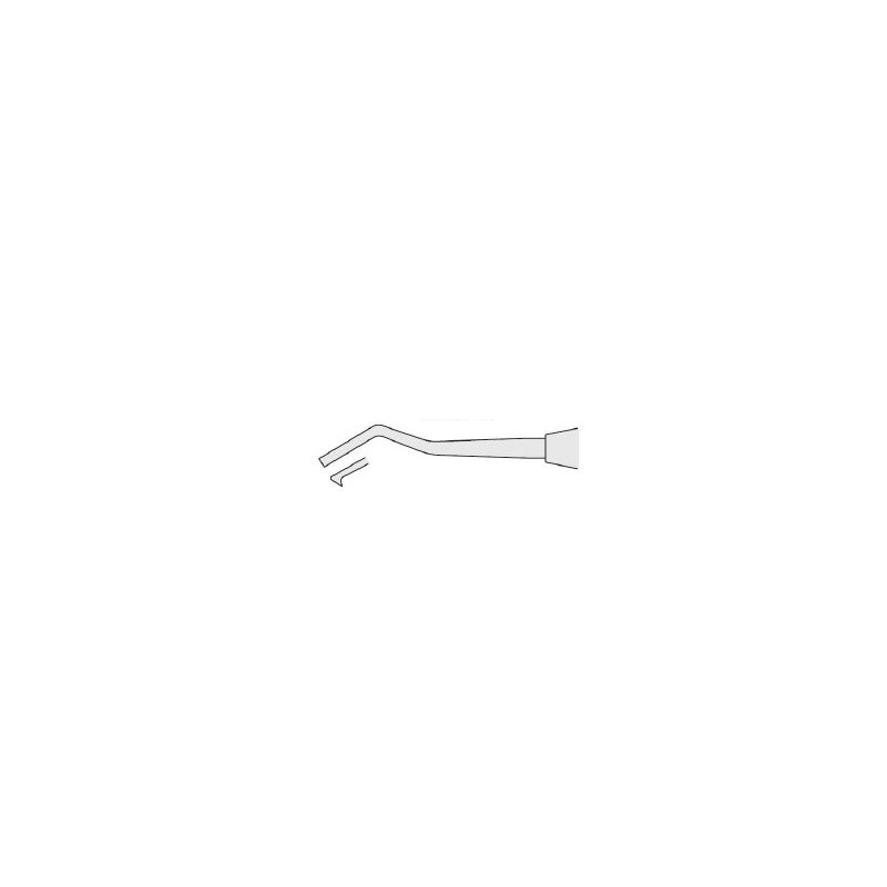 Classic-Round Curette Goldman-Fox