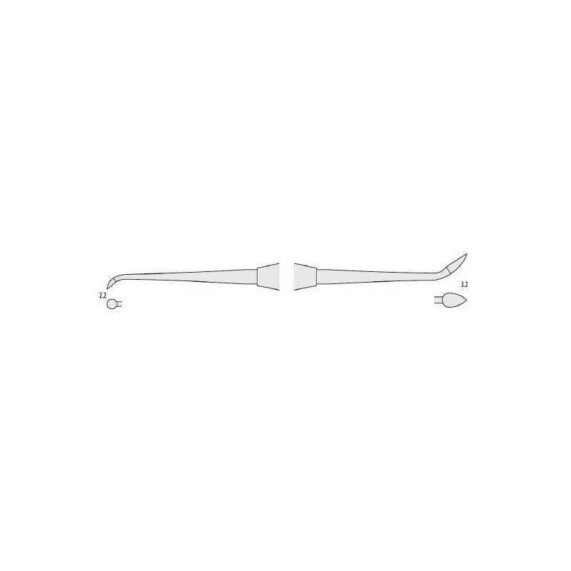 Classic-Round Cleoide Discoide Falcon
