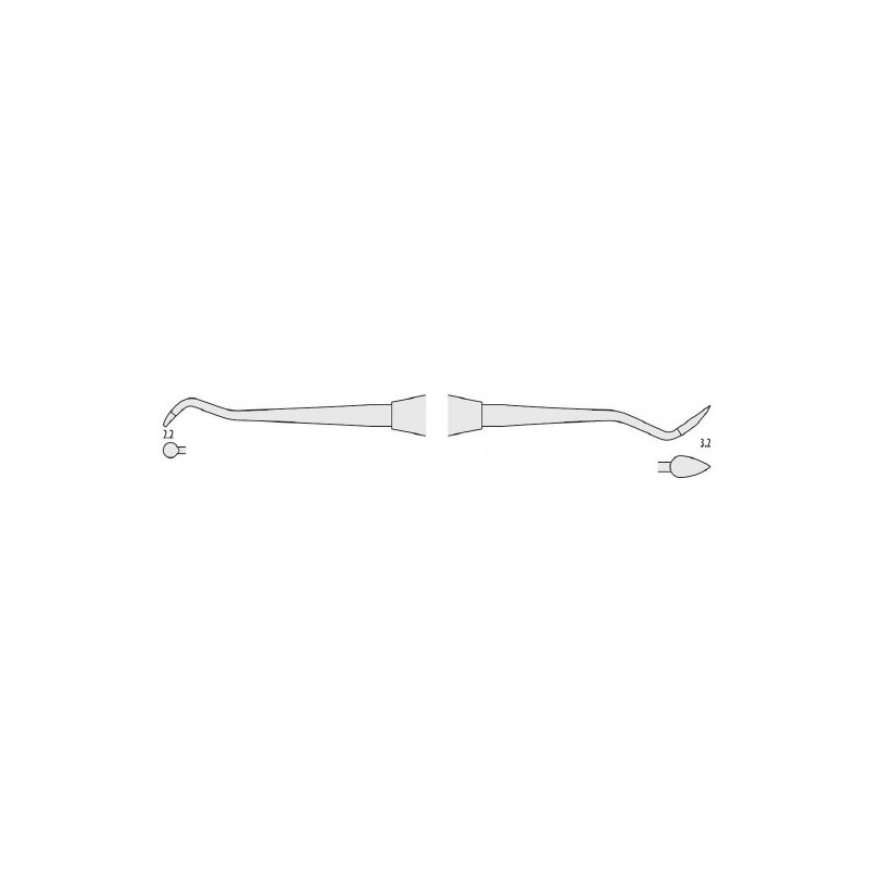 Classic-Round Cleoide Discoide Falcon