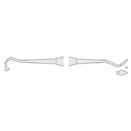 Classic-Round Cleoide Discoide Falcon