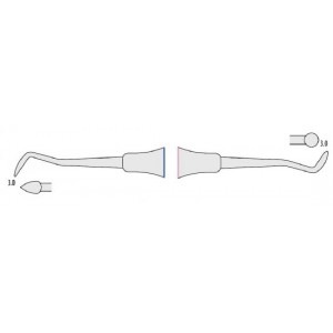 Soft-Line Cleoide-Discoide doppio