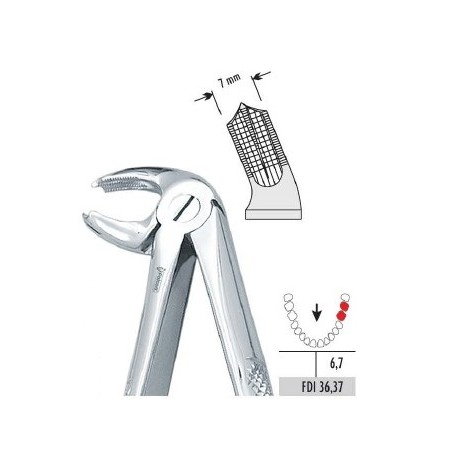 Pinza per estrazione mod. Europeo