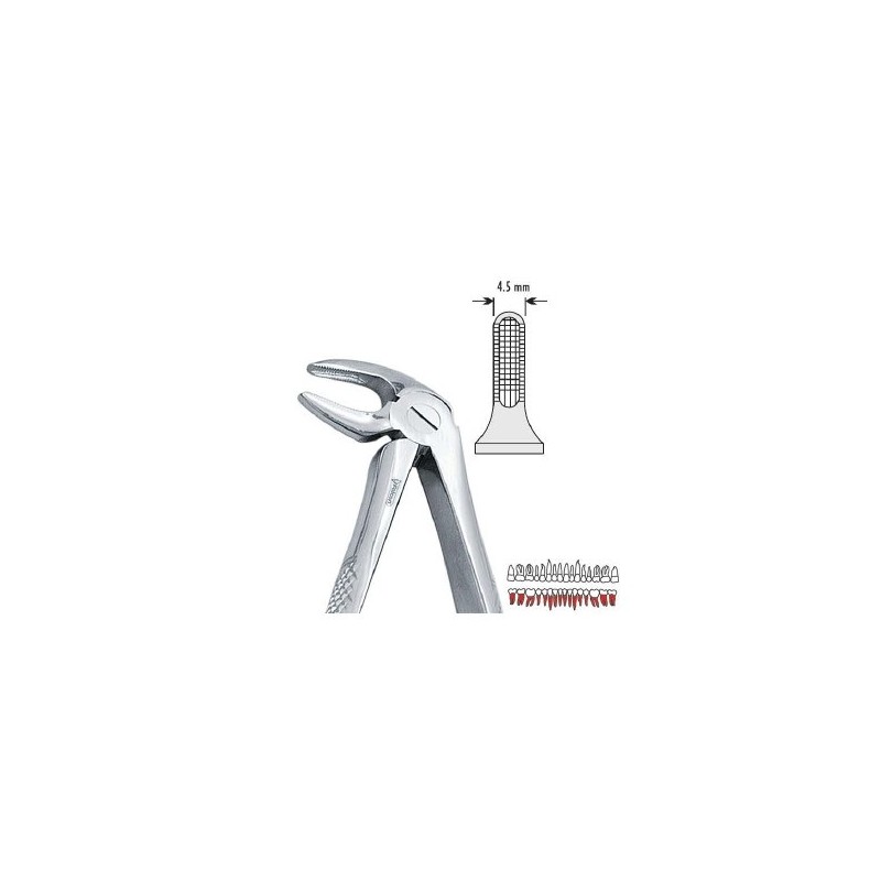 Pinza per estrazione mod. Europeo