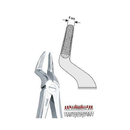 Pinza per estrazione mod. Europeo