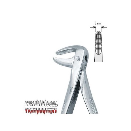Pinza per estrazione mod. Europeo