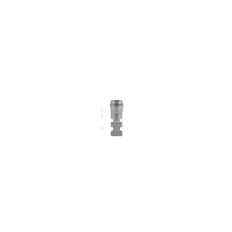 ANALOGO