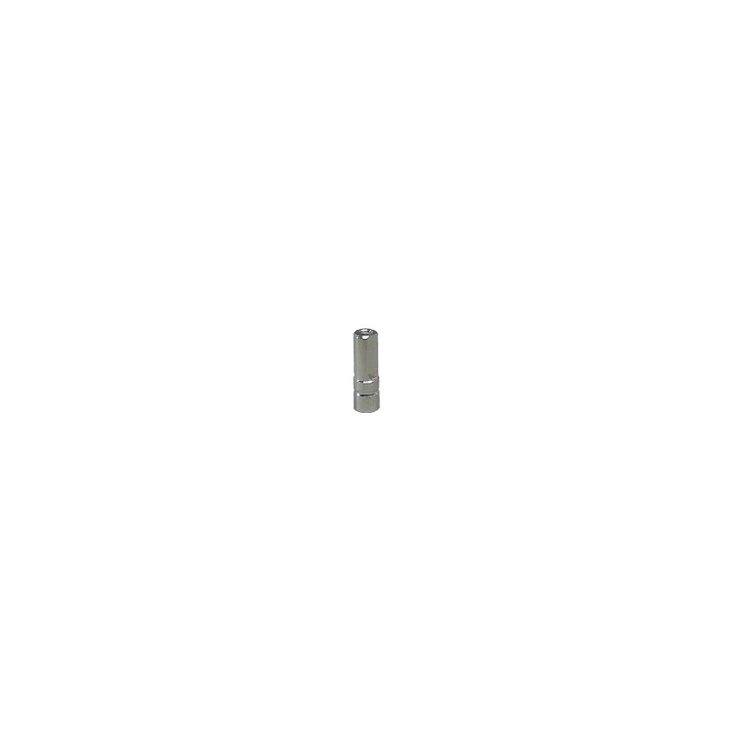 ANALOGO