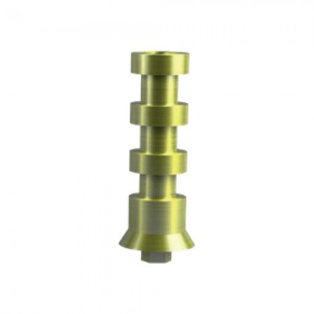 TRANSFER VITE PASSANTE